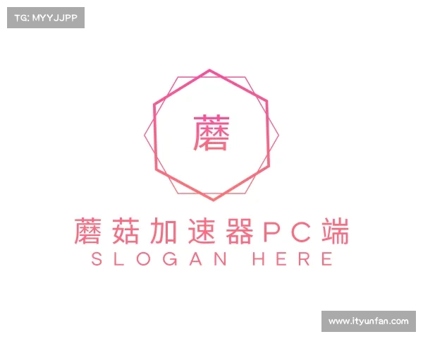 发现蘑菇加速器pc端